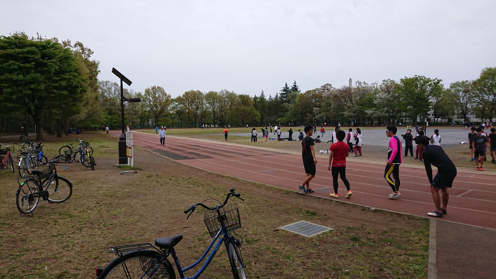 早実陸上競技部の紹介